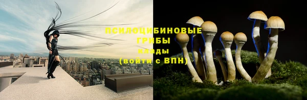 MESCALINE Новочеркасск